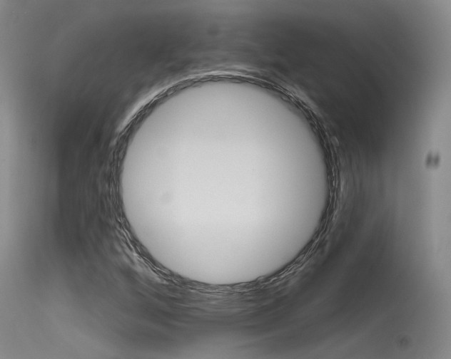 X0000115531256200911061119