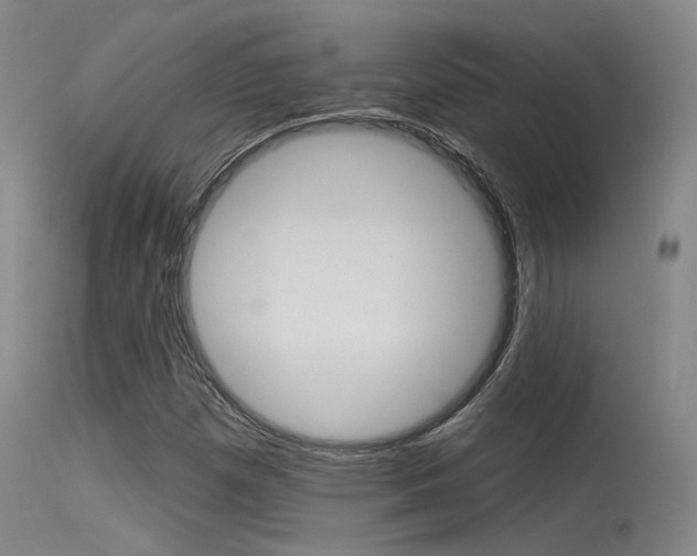 X0000115531257200911061119