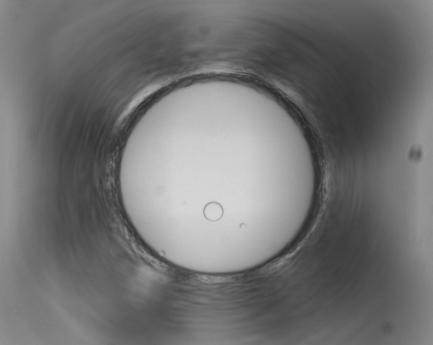 X0000115531258200911061119