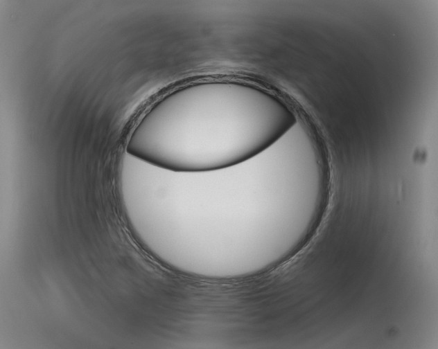 X0000115531259200911061119