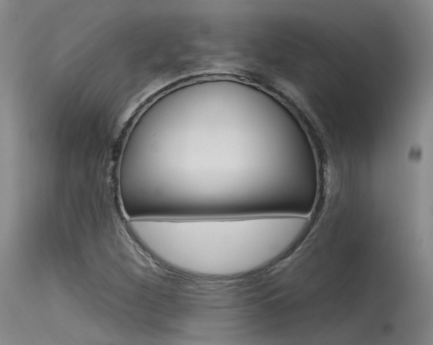 X0000115531260200911061119