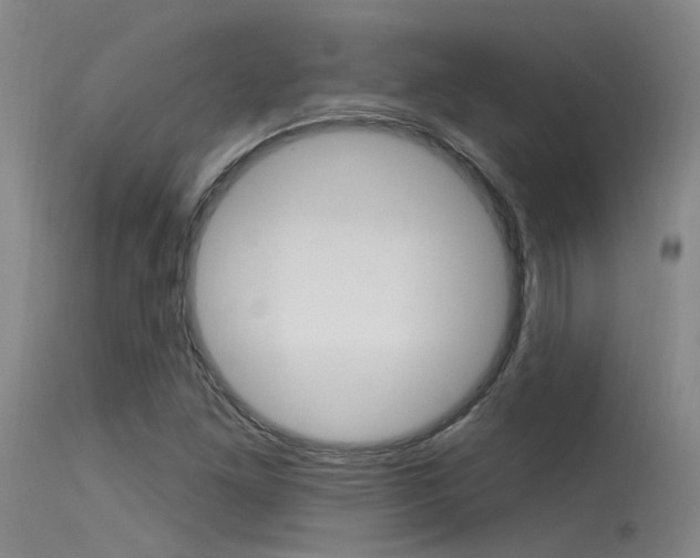 X0000115531261200911061119