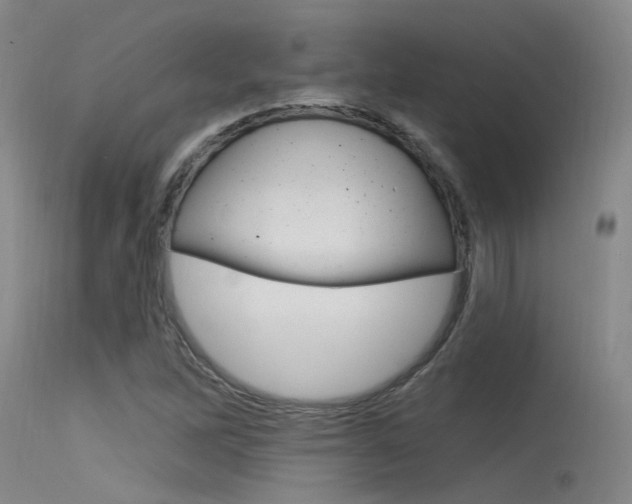 X0000115531262200911061119