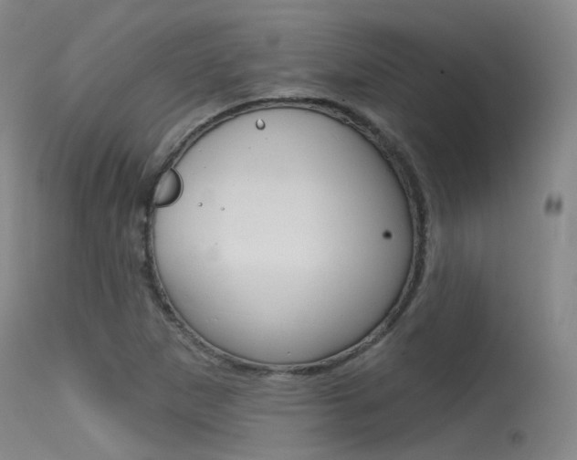 X0000115531265200911061119