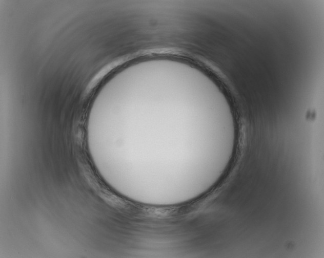 X0000115531266200911061119