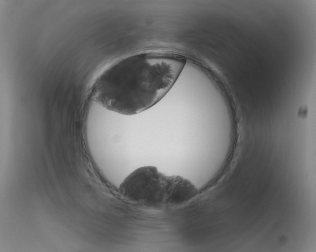 X0000115531267200911061119