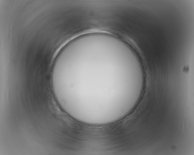 X0000115531268200911061119