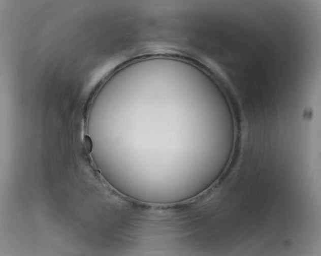 X0000115531269200911061119