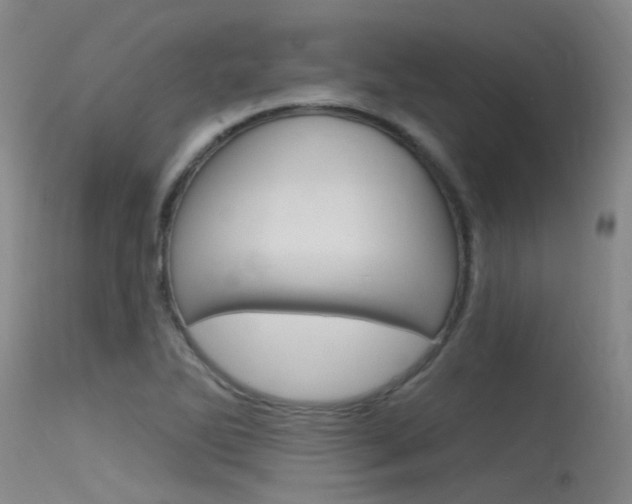 X0000115531270200911061119