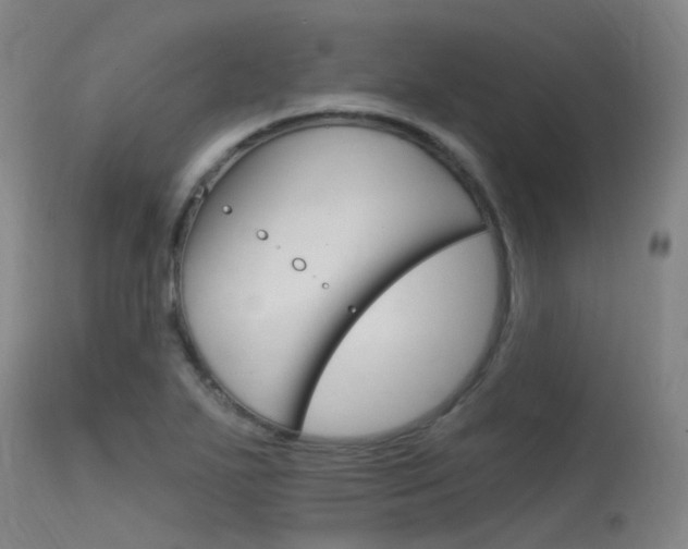 X0000115531271200911061119