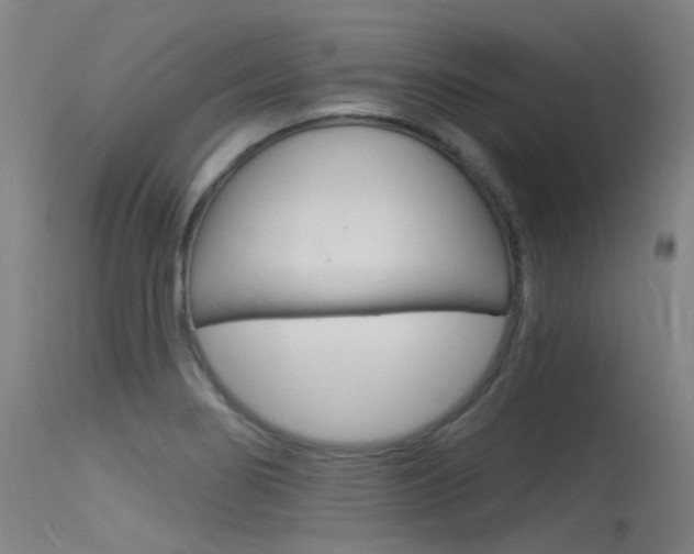 X0000115531274200911061119