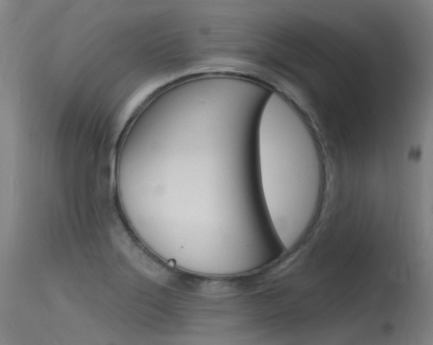 X0000115531275200911061119