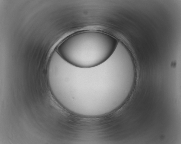 X0000115531276200911061119