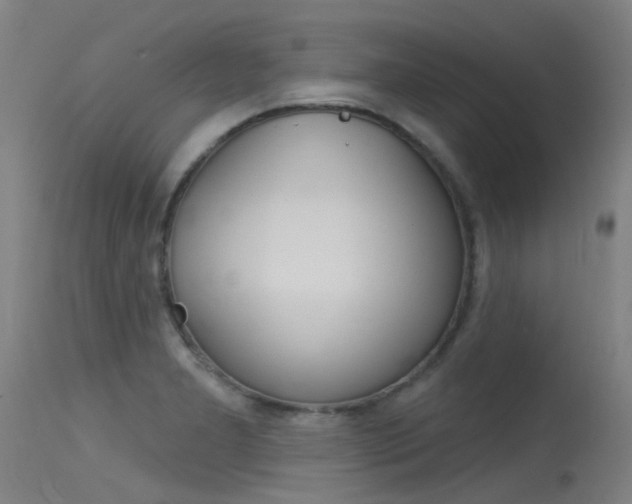 X0000115531277200911061119