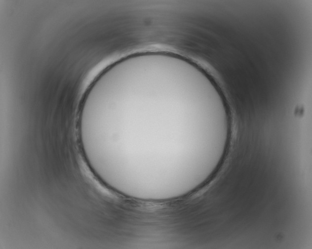 X0000115531278200911061119