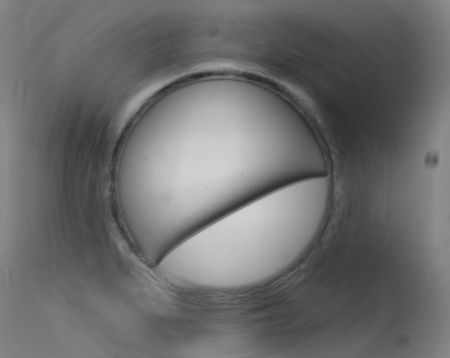 X0000115531279200911061119