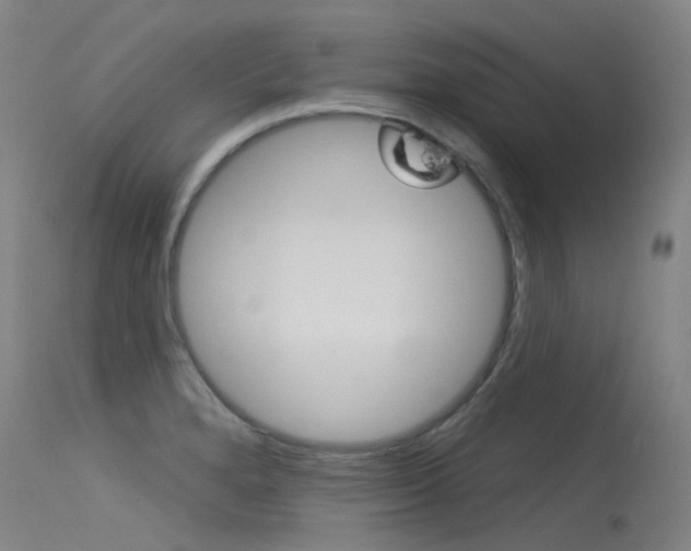 X0000115531280200911061119