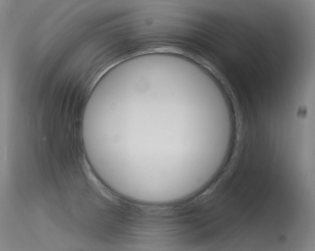 X0000115531281200911061119