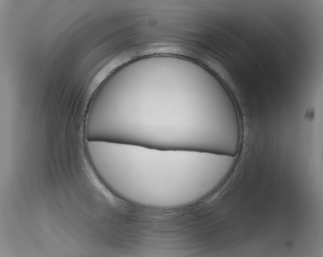 X0000115531282200911061119