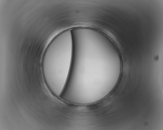 X0000115531283200911061119