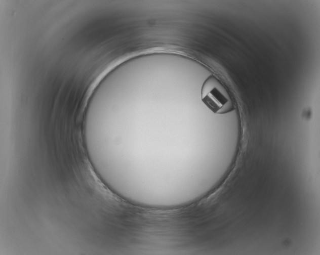 X0000115531284200911061119