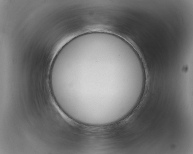 X0000115531285200911061119