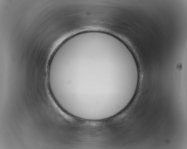 X0000115531286200911061119