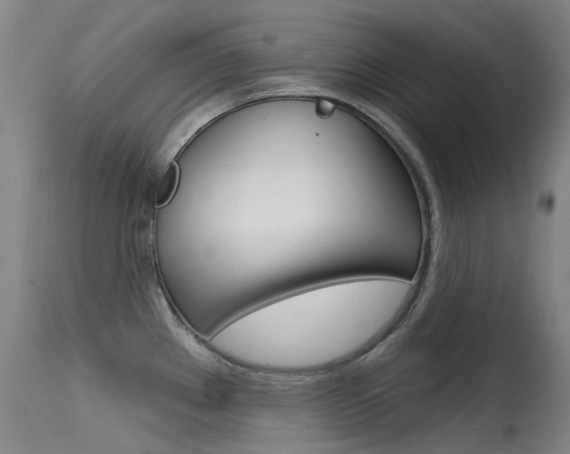X0000115531289200911061118