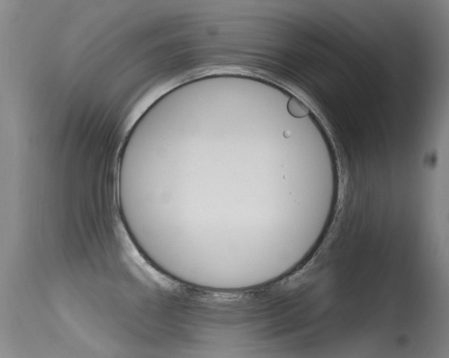 X0000115531290200911061118