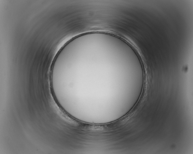 X0000115531291200911061118