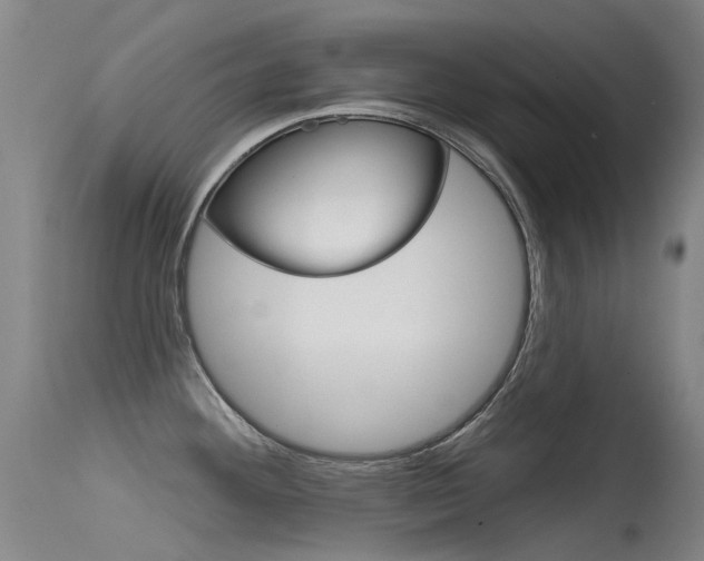 X0000115531292200911061118