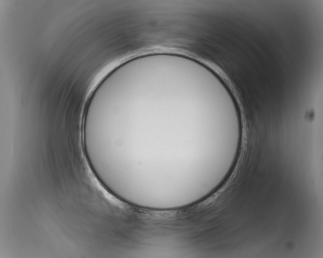 X0000115531294200911061118