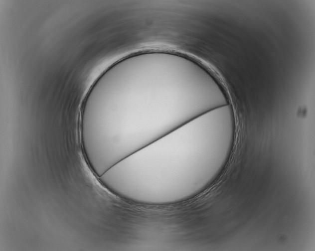 X0000115531295200911061118