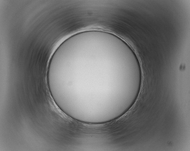 X0000115531296200911061118