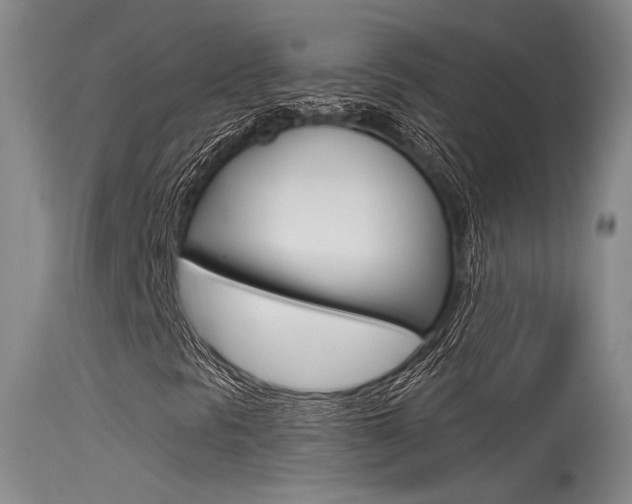 X0000115531297200911061118