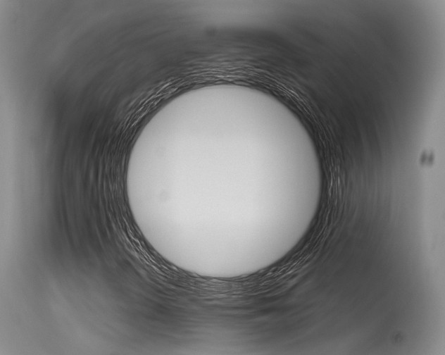 X0000115531298200911061118
