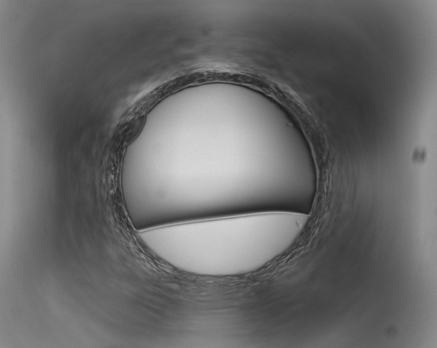 X0000115531303200911061118