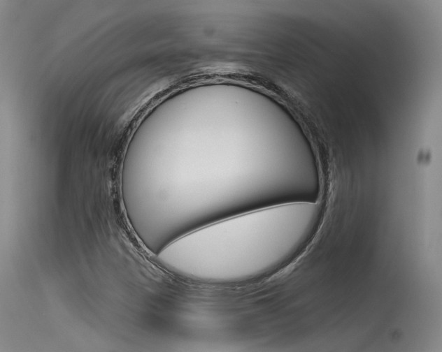 X0000115531305200911061118