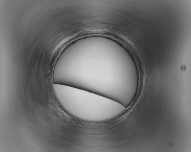 X0000115531306200911061118