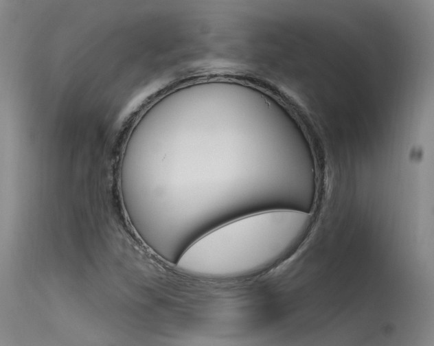 X0000115531309200911061118