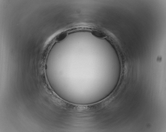 X0000115531310200911061118