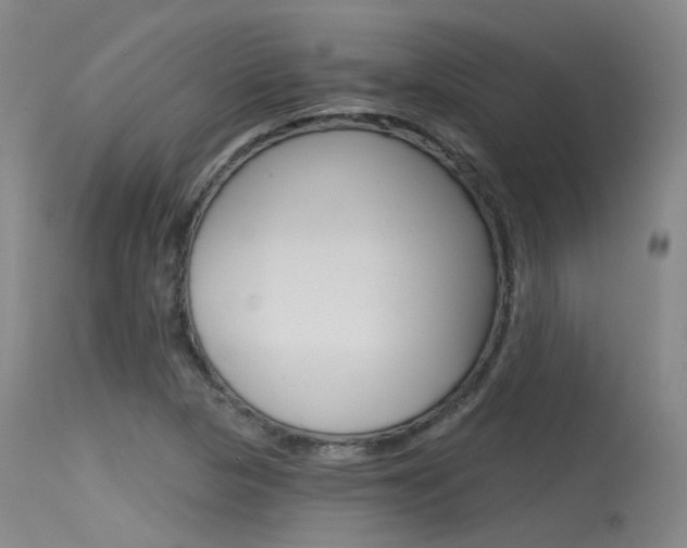X0000115531313200911061118