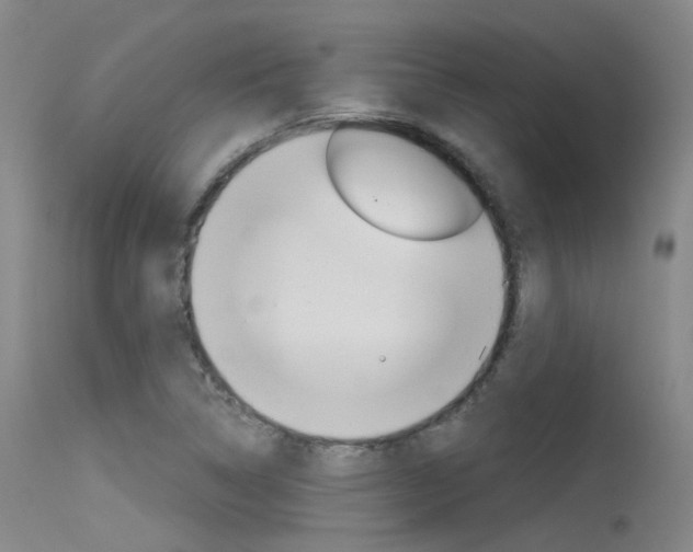 X0000115531314200911061118