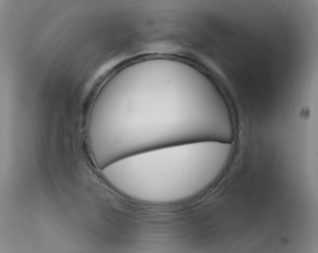 X0000115531315200911061118