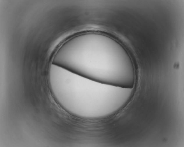 X0000115531318200911061118