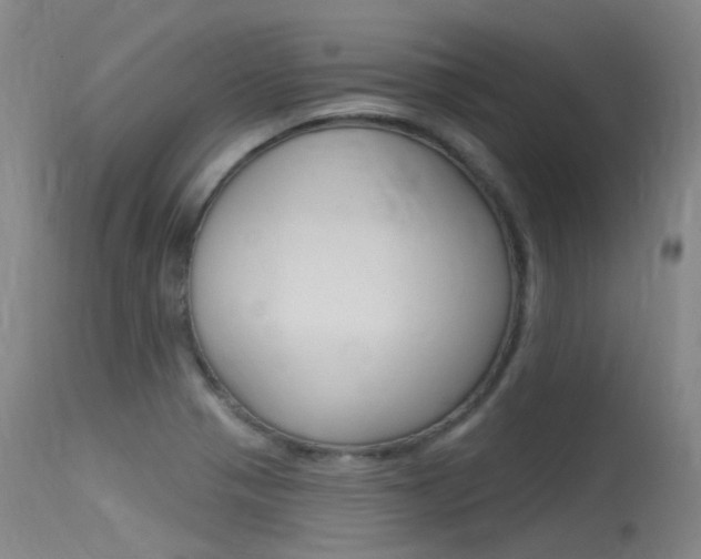 X0000115531321200911061118