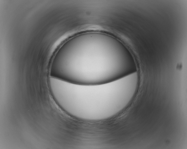 X0000115531326200911061118