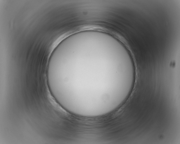X0000115531330200911061118
