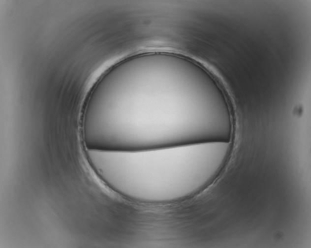 X0000115531333200911061118