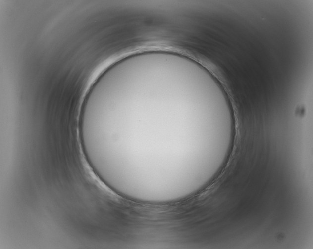 X0000115531334200911061118